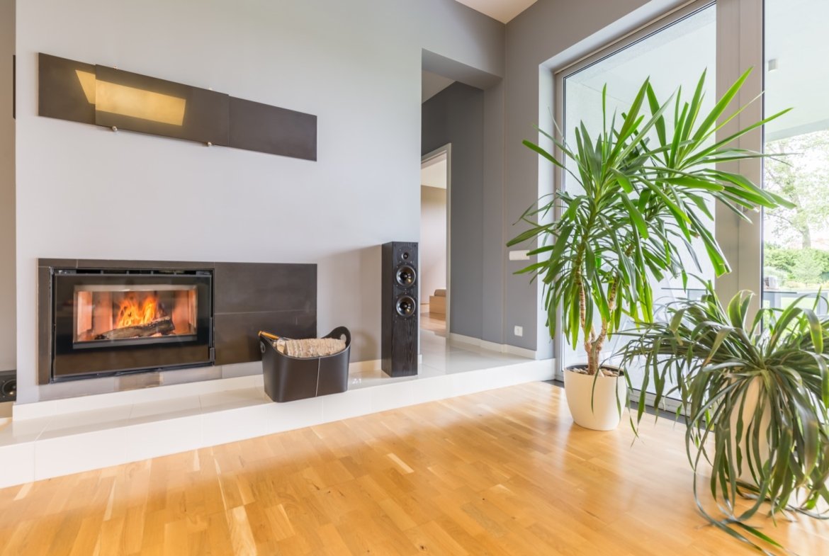 Ample Modern Loft