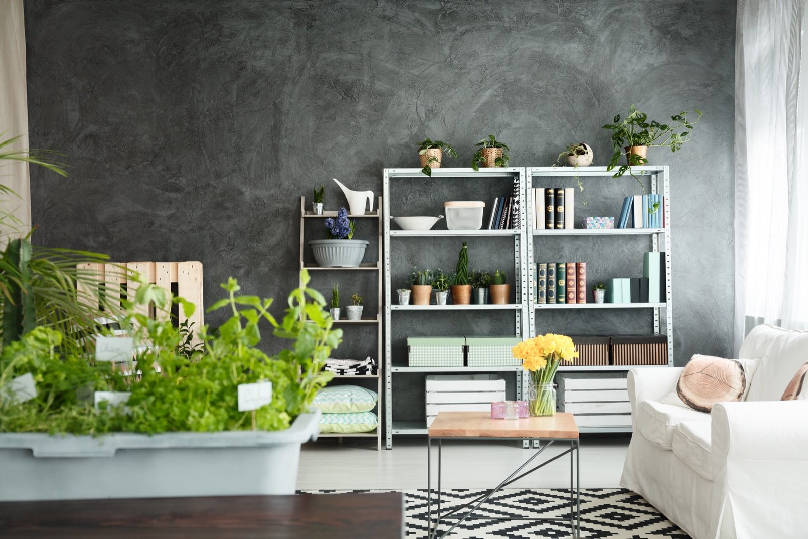 Grey and white interior Contemporary apartment